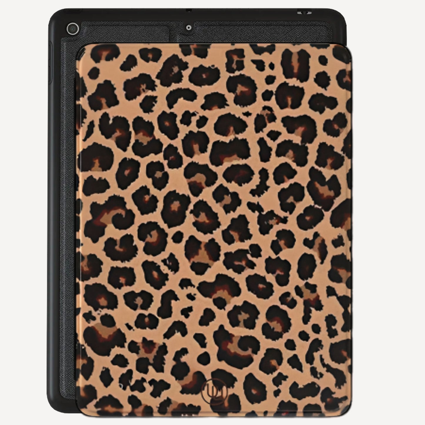 Zoom (iPad)